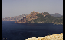 Corse-15
