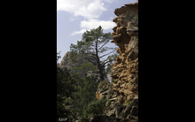 Corse-18